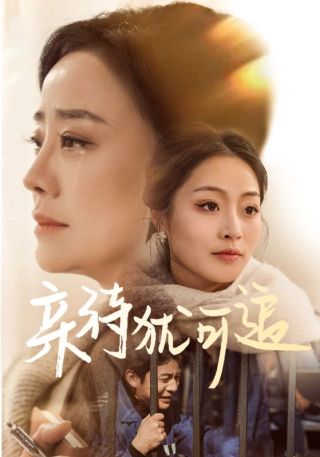 短剧亲待犹可追海报