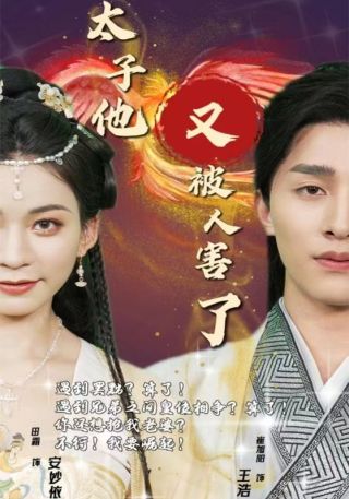 短剧太子他又被人害了海报