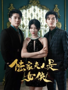 短剧陆家夫人是女侠海报