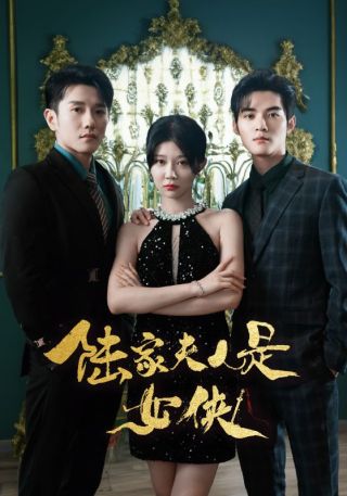 短剧陆家夫人是女侠海报