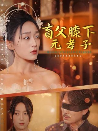 短剧盲父膝下无孝子海报