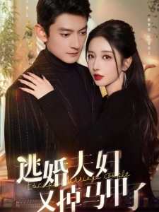 短剧逃婚夫妇又掉马甲了海报