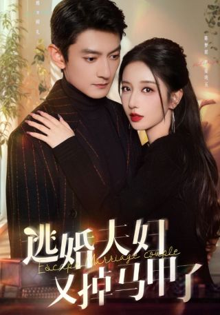 短剧逃婚夫妇又掉马甲了海报