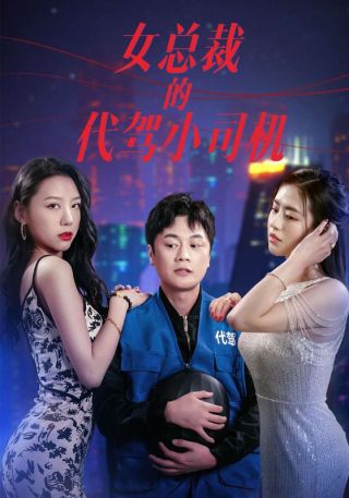 短剧女总裁的代驾小司机海报