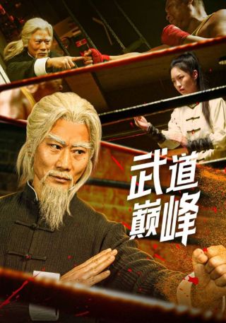 短剧武道巅峰海报