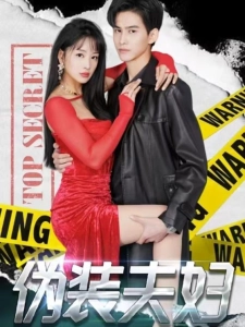 短剧伪装夫妇海报