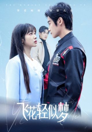 短剧飞花轻似梦海报