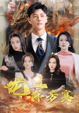 短剧龙王群芳宴海报