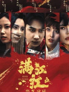 短剧满江红之怒发冲冠海报