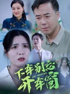 短剧下车别忘开车窗海报