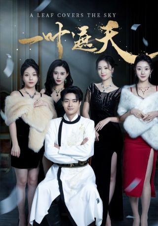 短剧一叶遮天海报