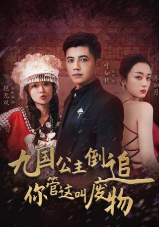 短剧九国公主倒追你管这叫废物海报