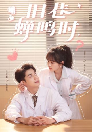 短剧旧巷蝉鸣时海报