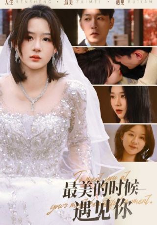 短剧最美的时候遇见你海报