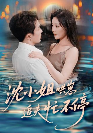 短剧沈小姐哄崽追夫忙不停海报