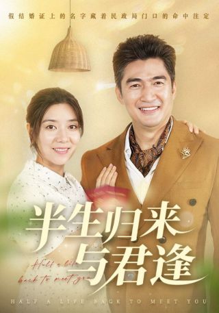 短剧半生归来与君逢海报