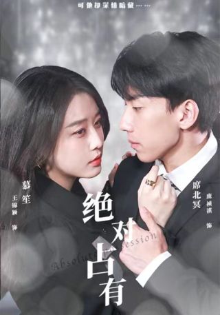 短剧绝对占有海报