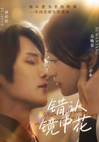 短剧错认镜中花海报
