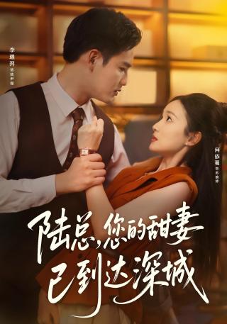 短剧陆总，您的甜妻已到达深城海报