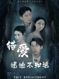 短剧错爱迷途不知返海报