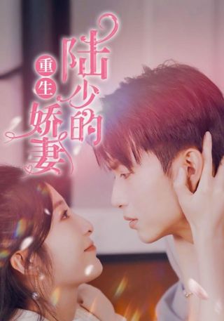 短剧陆少的重生娇妻海报