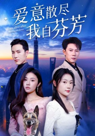 短剧爱意散尽我自芬芳海报