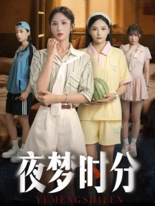 短剧夜梦时分海报