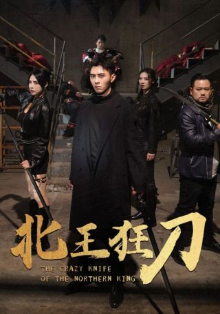 短剧北王狂刀海报