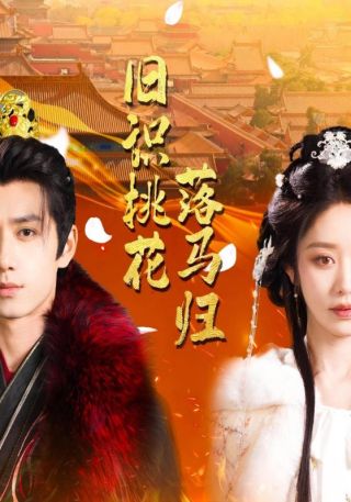 短剧旧识桃花落马归海报