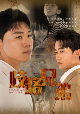 短剧歧路兄弟海报