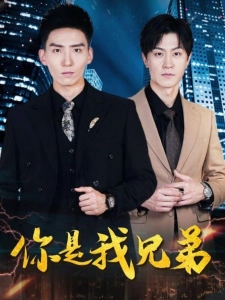 短剧你是我兄弟海报