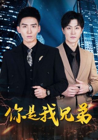 短剧你是我兄弟海报