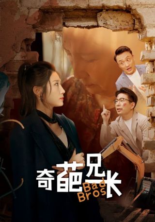 短剧奇葩兄长海报