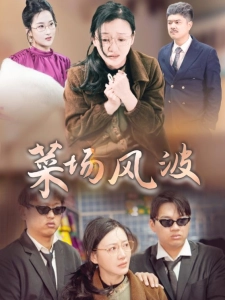 短剧菜场风波海报