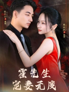 短剧霍先生宠妻无度海报