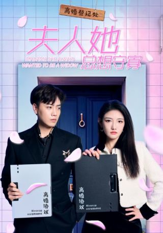 短剧夫人她总想守寡海报