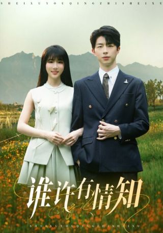 短剧谁许有情知海报