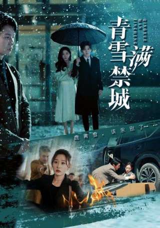 短剧青雪满禁城海报