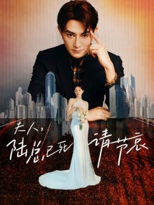 短剧夫人，陆总已死请节哀海报