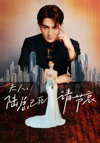 短剧夫人，陆总已死请节哀海报