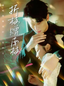 短剧折枝赠南枝海报