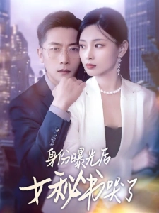 短剧身份曝光后女秘书哭了海报