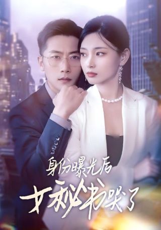 短剧身份曝光后女秘书哭了海报