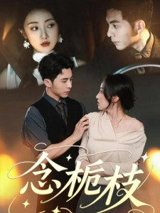 短剧念栀枝海报