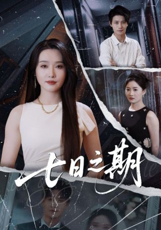 短剧七日之期海报