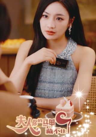 短剧夫人，你的马甲藏不住了海报