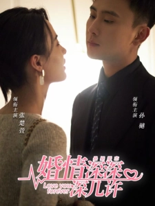 短剧婚情深深深几许海报