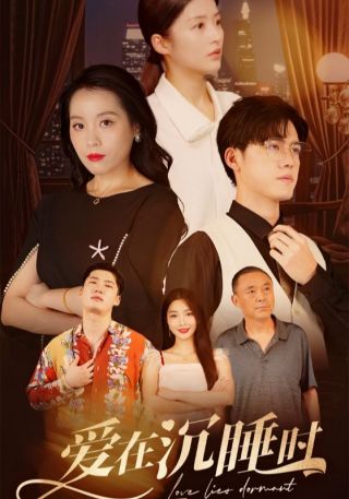 短剧爱在沉睡时海报