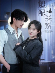 短剧般配关系海报