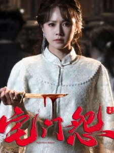 短剧宅门怨海报